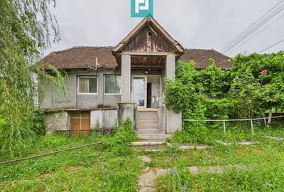 Casă individuală cu 2 camere cu Teren 2473 Mp în Odvoș - 6