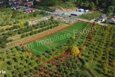 Teren de 2619 mp, în Corbeni - 2