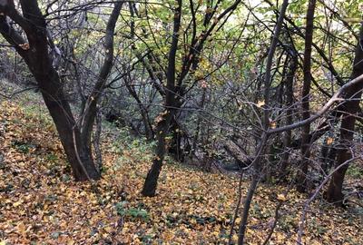 Teren intravilan Feleacu superb: 6482mp, access la E60, râu  & pădurice - 4