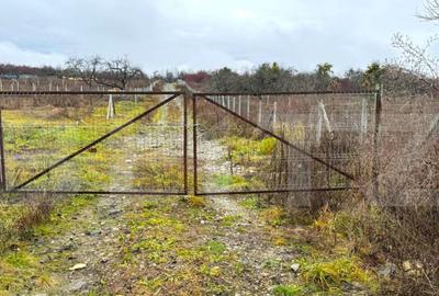 Teren extravilan de vanzare, 1.057 mp, zona Sigmir - 14