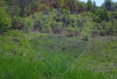 Teren intravilan de vanzare Hula Baznei, 800 mp - 2