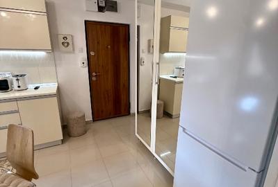 Apartament cu 2 camere semidecomandat, mobilat în Calea Caransebeșului - 14