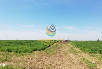 Spațiu comercial, în Frumușani - 2