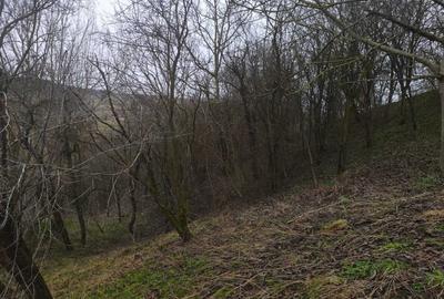 Spațiu comercial, în Sic