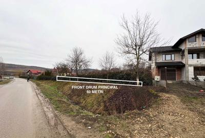 Spațiu comercial, în Badon - 7