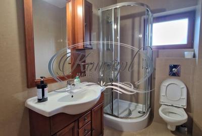 Casa individuala cu gradina si 5 locuri de parcare, cartier Europa - 9