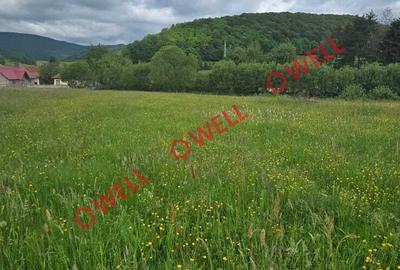 Teren extravilan de 4721 mp, în Sărămaș - 4