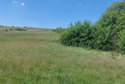 Teren de 8000 mp, în Felcheriu