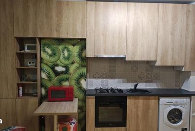 Garsonieră în Ciurea - 5