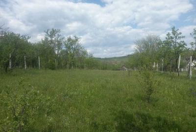 Teren de 1700 mp, în Ogretin - 4