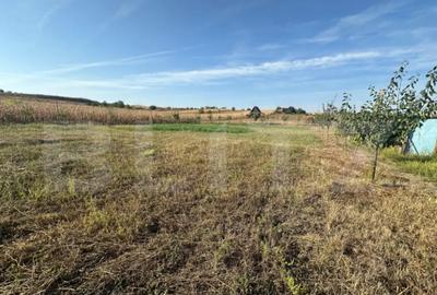 Teren de 2072 mp, în Oarda - 3