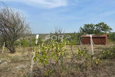 Teren de 1665 mp, în Dealuri Oradea - 4