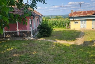 Teren cu casa batraneasca - 6
