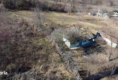 Casă cu 2 camere cu Teren 2602 Mp în Dumești - 7