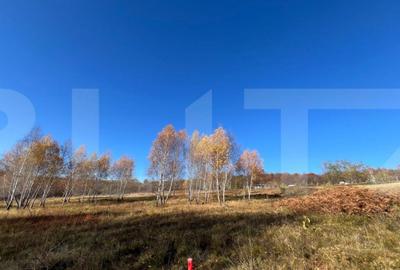 Teren construibil de vanzare, zona casele Micesti - 3