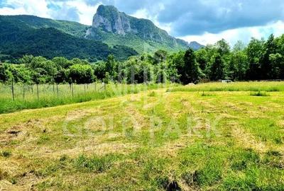 Teren cu AUTORIZATIE de Constructie -Priveliște Superbă - Rimetea: : - 4