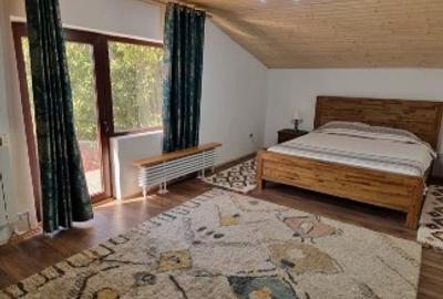 Casă individuală cu 4 camere cu Teren 377 Mp în Jilava - 9
