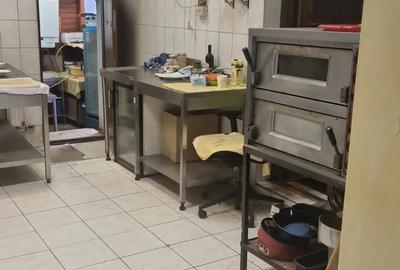 Casă cu Teren 350 Mp în Cișmigiu - 10