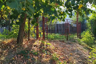 Teren de 1700 mp, în Fălticeni - 3