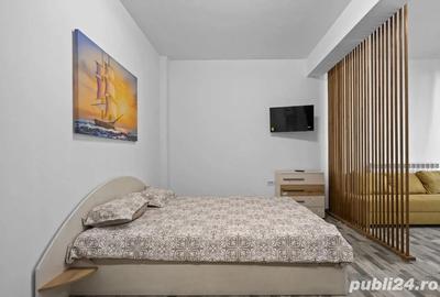 Garsonieră decomandată, mobilată în Nord - 7