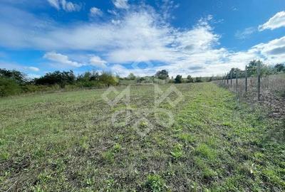 Teren intravilan 5995 mp de vanzare in Hidiselu de Sus - 7