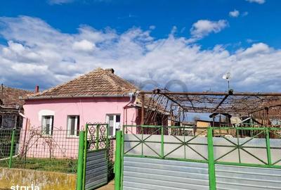 Casă cu 1 camere cu Teren 2676 Mp în Șimian - 11