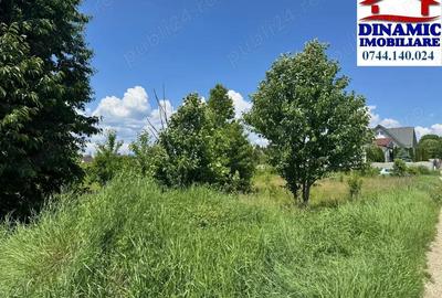 500 mp intravilan Turturesti 500 mp intravilan Turturesti - 1