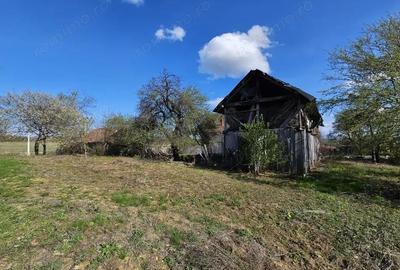 Vanzare teren 4606 mp - Sat Balta - Runcu - la aproximativ 20 km de Targu Jiu - 3