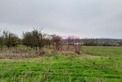 BARCANESTI - casa +curte+teren 16k mp - 12