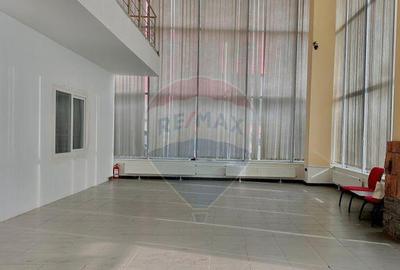 Spațiu comercial, de 450 mp, în Micălaca - 13