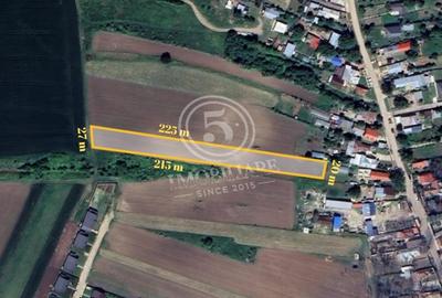 Sabareni in apropierea Padurii Cereanca- Teren de Vanzare - 4