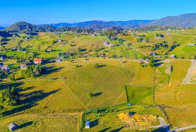 COMISION 0% Teren 19.300 mp/?irnea/ Oportunitate de inve... COMISION 0% Teren 19.300 mp/?irnea/ Oportunitate de inve... - 11