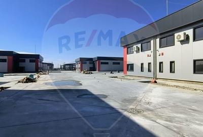 Hale noi de inchiriat Domnesti - putere instalata pana la 600kva - 20