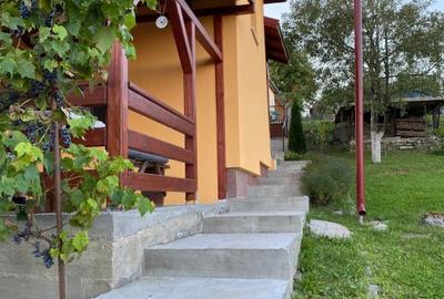 Casă individuală cu 4 camere cu Teren 1997 Mp în Mica - 4