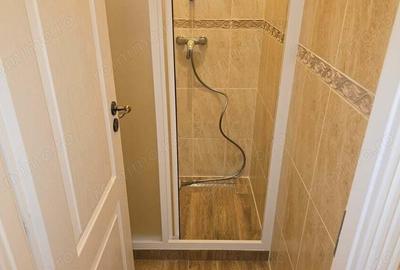 Inchiriez spatiu comercial in Deva, zona 1 Decembrie (Ultracentral), suprafata utila 120 mp, - 14