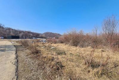 Teren de 9100 mp, în Petrișor - 2