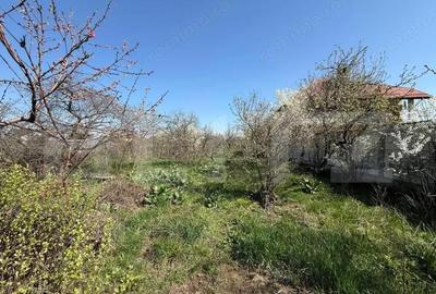 Casă cu Teren 2800 Mp în Păulești - 4