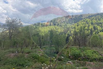 Casă cu 14 camere cu Teren 62330 Mp în Horea - 54