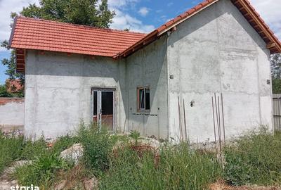 Casă cu 1 camere cu Teren 1500 Mp în Bârsa - 3