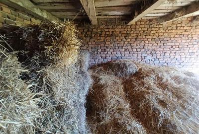 Descopera casu?a ta de vis la poalele Mun?ilor Apuseni - 5