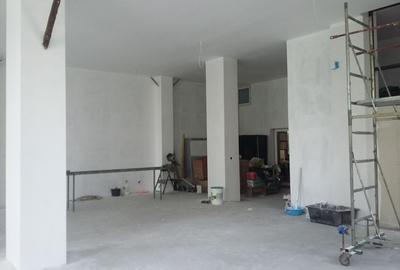 Theodor Pallady  300 mp - 2