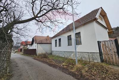 CASA 3 CAMERE SINCA NOUA / 5650 mp teren - 2