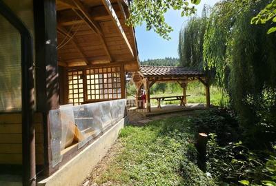 Casa de vacanta in inima padurii, 150 mp/utili, teren 1960 mp, Vulcan - 19