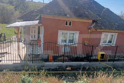 Casa spatioasa in Sanmihaiu de Campie - 3