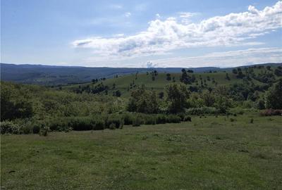 Casă cu 3 camere în Brusturi - 3