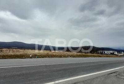 Teren de 15000 mp, în Tălmaciu - 13