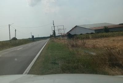 Teren de 5800 mp, în Ghimpați - 1