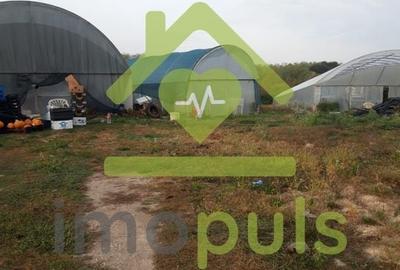 🗺️ Teren intravilan in Jupani (Timis), 10,19 Euro/mp.✨ - 1