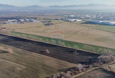 Teren agricol extravilan de 15482 mp, în Hărman - 6