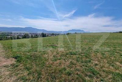 Teren de 4200 mp, în Central - 2
